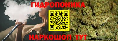 a pvp Брянск