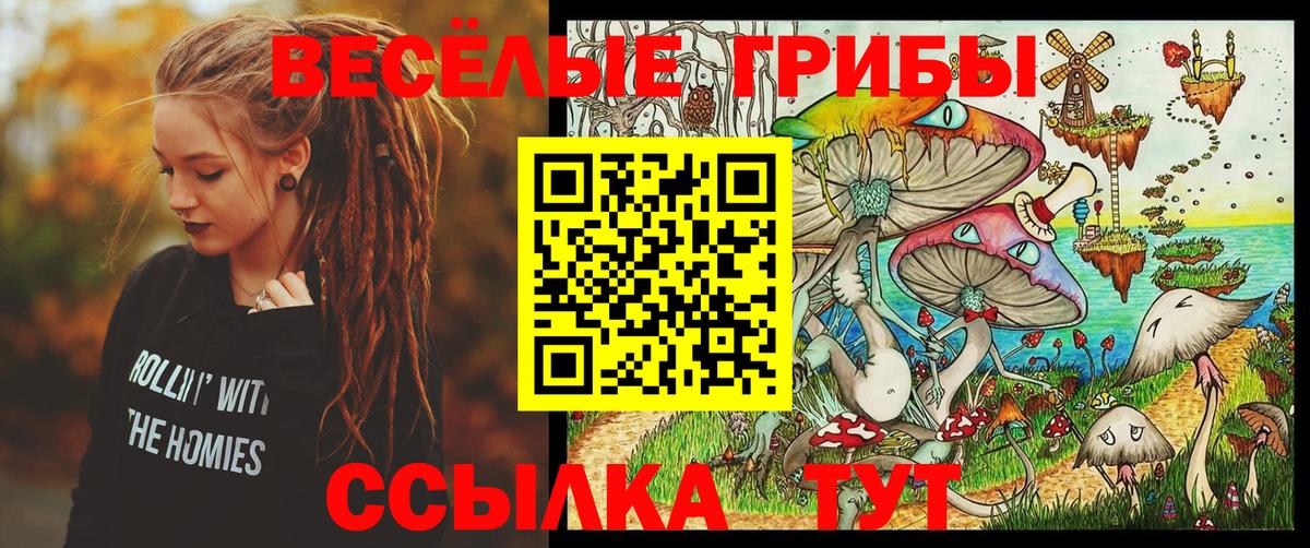 Псилоцибиновые грибы Magic Shrooms  Галлюциногенные грибы GOLDEN TEACHER  Бор  Вход с VPN 